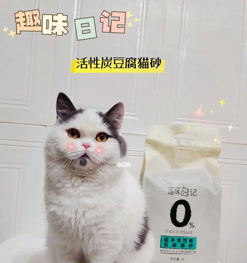 如何训练猫咪使用猫砂(让你的宠物猫从此不再乱拉乱尿)