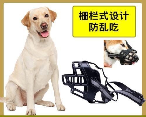 拉布拉多犬乱叫治疗全攻略（15个实用方法，让你的拉布拉多安静下来）