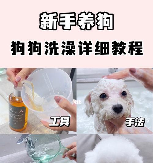 宠物狗狗洗澡的注意事项（让宠物洗澡更加健康和愉快）