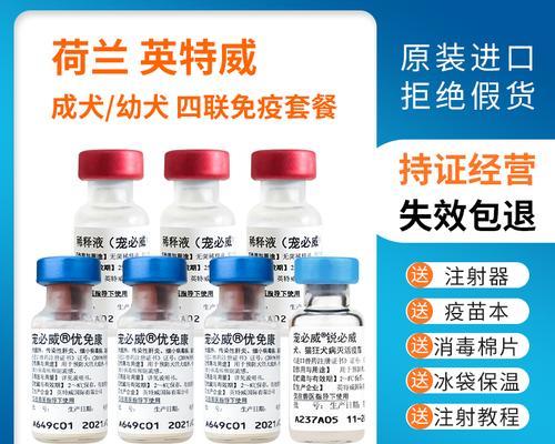 狗狗疫苗六联,守护宠物健康(了解六联疫苗,预防宠物疾病)