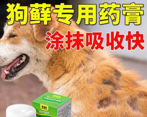 狗狗真菌皮肤病的药物治疗（探索最有效的治疗方式）