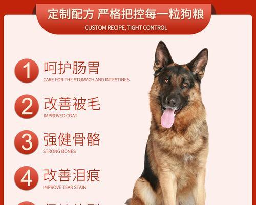 如何让你的宠物以马犬好好吃狗粮？（解决宠物挑食问题的实用方法）