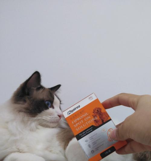 如何正确使用猫咪的体外驱虫药（宠物健康的关键——正确使用体外驱虫药）