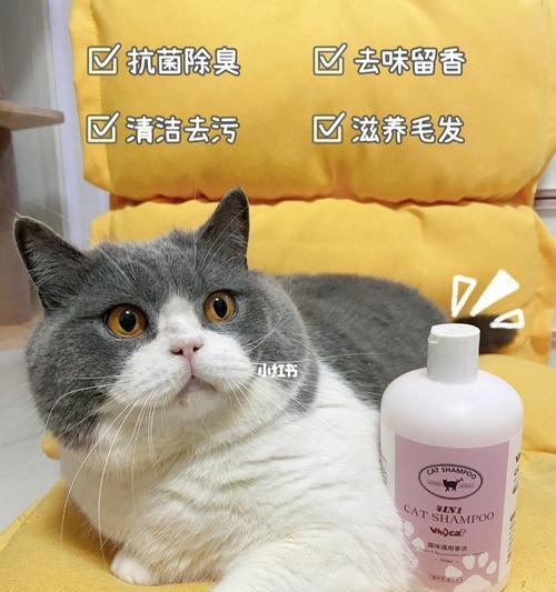 选择猫咪专用沐浴露，呵护毛发健康（如何选择适合猫咪的沐浴露？）