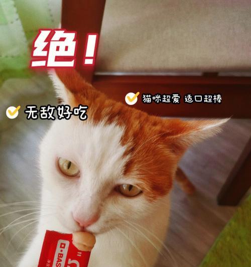 宠物猫不只爱吃鱼?!(探究猫咪的食性和日常饮食习惯)