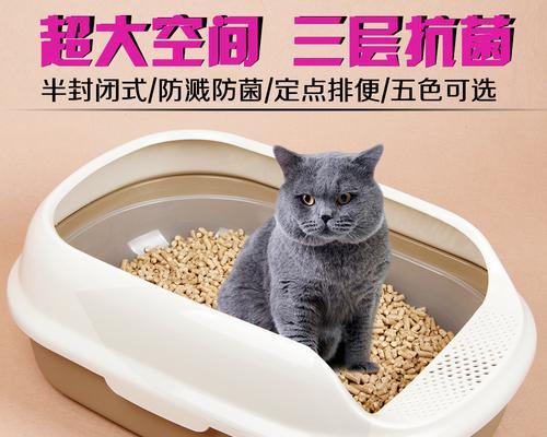 如何引导宠物猫咪学会使用猫砂盆（以科学方法和耐心培养宠物的良好习惯）