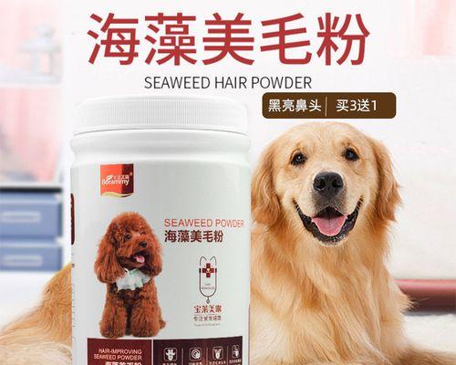 如何做好长毛狗狗毛发保养？（从清洁、修剪到梳理，助你打造柔软有光泽的毛发。）
