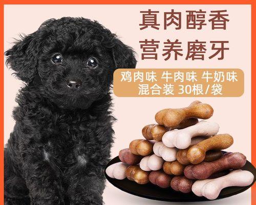 贵宾犬口臭治疗方法（了解原因，关注日常护理，重视饮食营养）