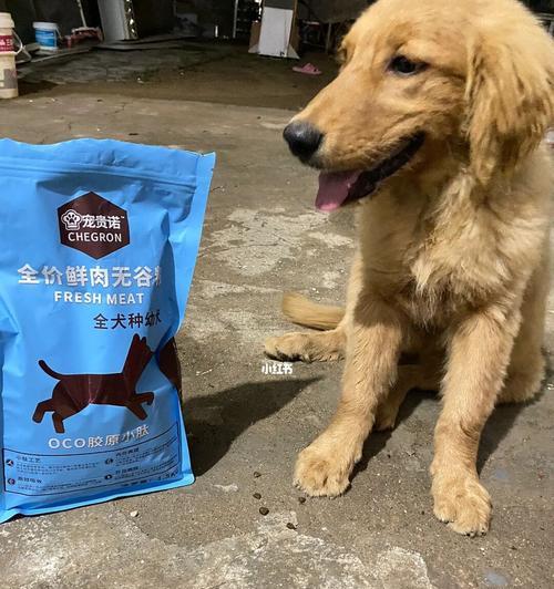 小狗吃药可以和狗粮一起吃吗?(解析小狗吃药与狗粮混合的利弊)