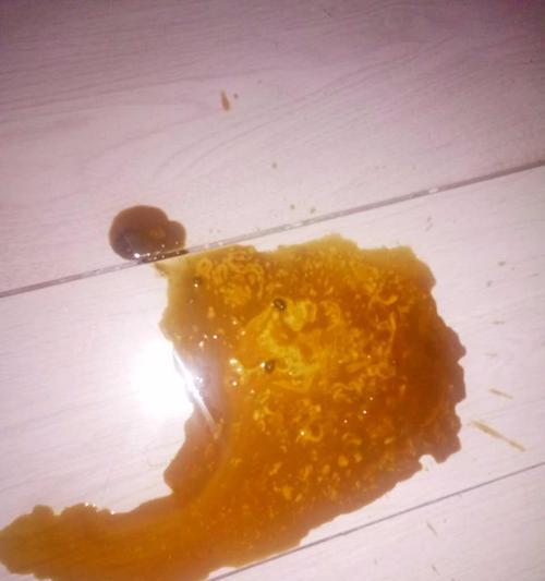小狗吐狗粮频繁，这是为什么？（从饮食、健康、生活习惯等多方面分析吐狗粮原因）