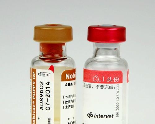 宠物疫苗——保护你的爱宠健康