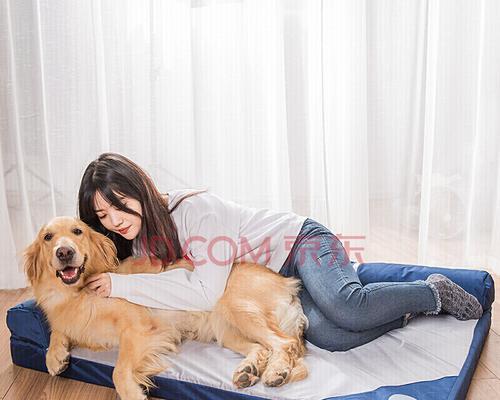 狗狗喜欢待在沙发和床底下的原因（探究宠物狗喜欢待在沙发和床底下的行为及心理）