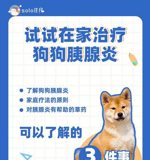 胰腺炎患犬的消炎药选择（以宠物为主的治疗建议和用药注意事项）