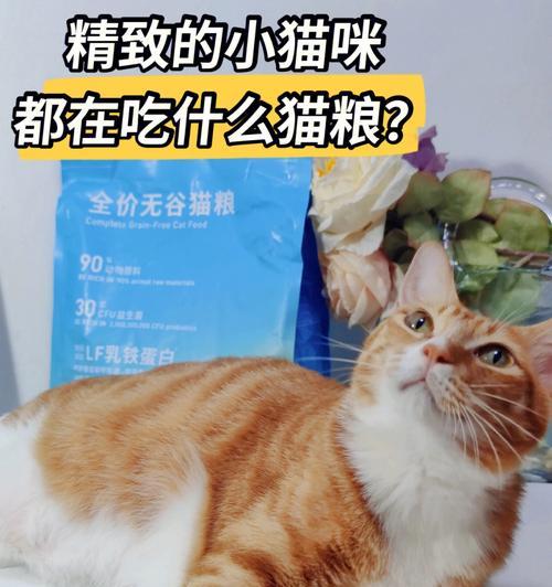 猫咪的食谱大公开（宠物猫除了猫粮还可以吃什么？）