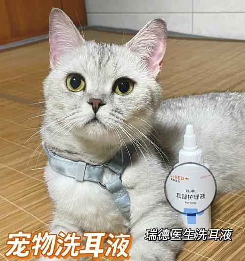 宠物猫耳附近毛脏洗涤指南（轻松解决猫咪耳附近毛脏问题，让你的爱猫更加可爱）