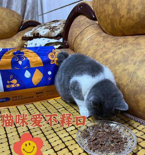 小猫咪吃了猫粮却吐了出来,该怎么办?(解决吐猫粮问题,让宠物更健康)