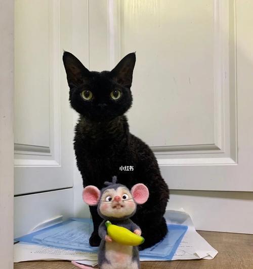 黑猫警长——能否食用人类食物(宠物猫咪的健康饮食方案)