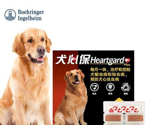 如何给几个月的小狗进行体内驱虫（宠物健康保障）