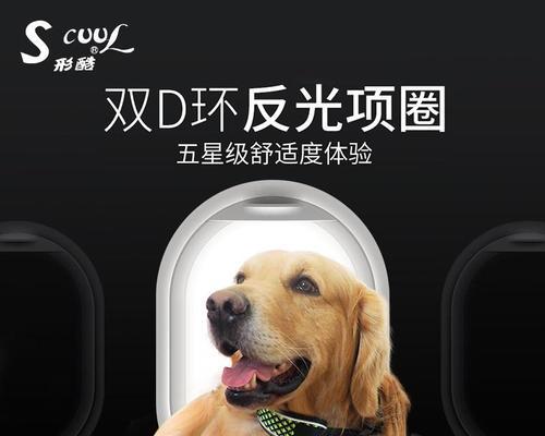 拉布拉多和金毛，的宠物犬品种（从性格）