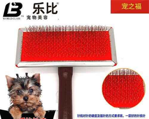 如何正确使用针梳给卷毛泰迪梳毛(宠物护理必备)