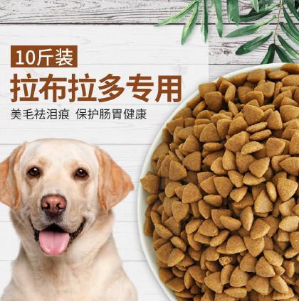 拉布拉多的狗粮品牌(宠物健康从饮食开始)