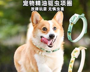 用南瓜子驱虫,让宠物健康无虞(南瓜子驱虫的安全性和有效性)