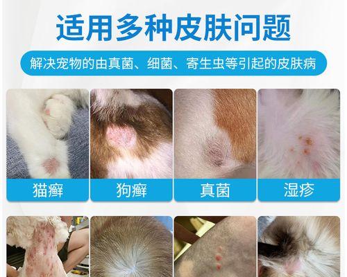 小猫皮肤有螨虫的症状（宠物护理中的重要问题——小猫皮肤螨虫感染）