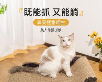 小猫挠自己的原因与解决方法（了解小猫的习性）