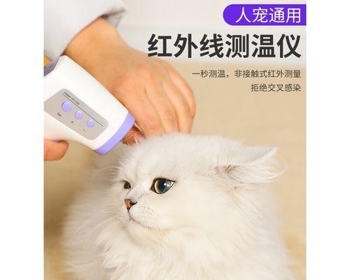 宠物小猫的体温正常值及检测方法（了解宠物小猫的健康状况）