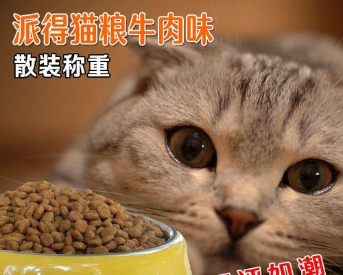 宠物猫的蔬菜饮食（健康生活的关键）