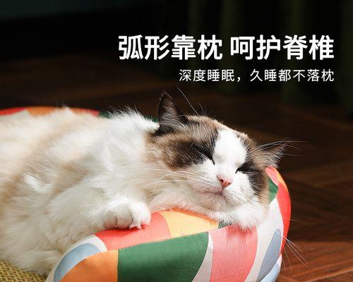 小猫为什么会亲（探究宠物小猫亲人的心理和行为原因）