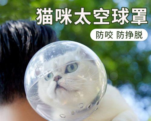 小猫咪的半夜狂叫，如何化解主人的困扰（宠物猫咪半夜乱叫的原因分析及解决方案）