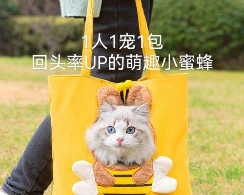 如何以猫把小猫分开喂（宠物饲养新手必看）