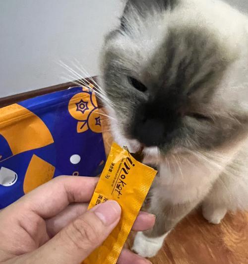 小猫为何会突然拉血(宠物血便的表现)