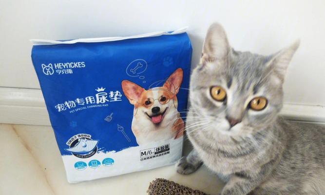 夏季如何让宠物猫咪小便顺畅（解读成年猫咪夏季小便问题）