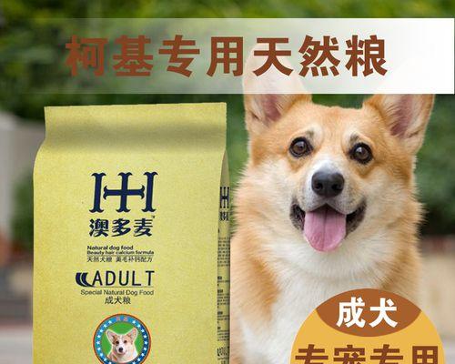 如何正确喂养以成犬的宠物狗（掌握喂养规律）