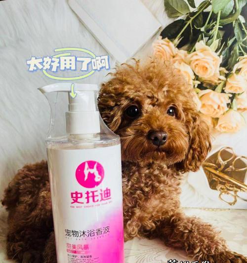 如何正确给宠物狗使用消毒药(消毒药使用的注意事项)