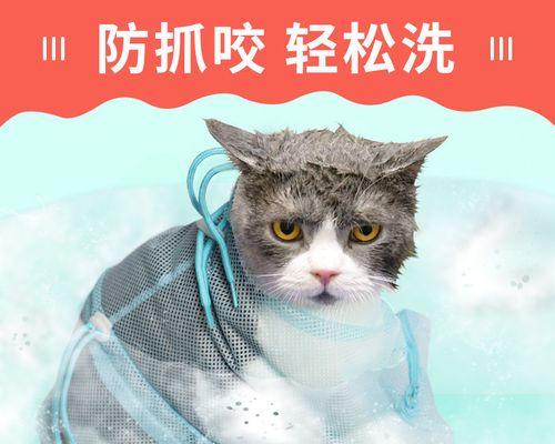 洗澡对猫咪的影响（猫咪的健康）