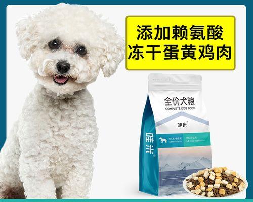狗的受孕周期和怀孕知识详解(狗狗受孕的适宜时间及妊娠期护理)