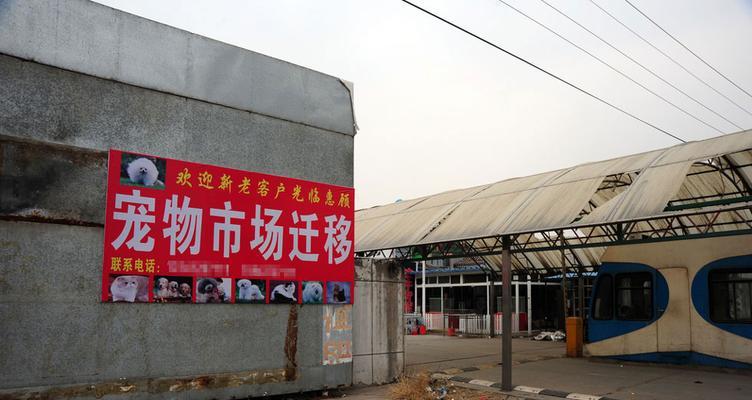 开封狗市的位置和特色(探寻开封狗市的历史和文化)