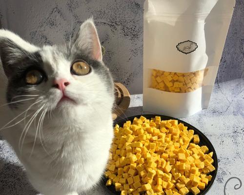 猫咪可以吃蛋黄吗（探讨猫咪食用蛋黄的利弊与注意事项）