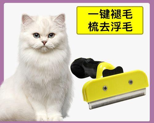 猫咪脱毛烦恼解决方案（以猫鼻子上脱毛为例）