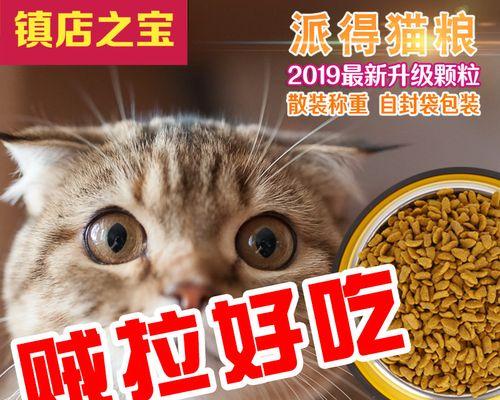 猫咪吃猫粮有何危害（了解宠物健康的重要性）