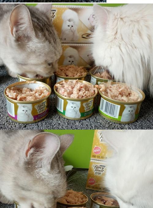 如何正确加热宠物猫罐头(掌握正确的加热方法)