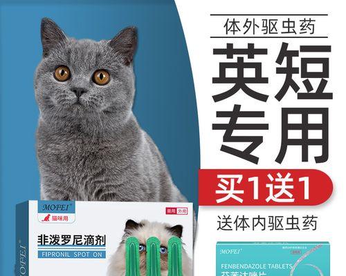 猫脚发炎了该用什么药（宠物饲主必看）