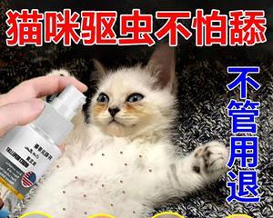如何处理宠物猫身上的跳蚤(全面解决猫咪跳蚤问题)