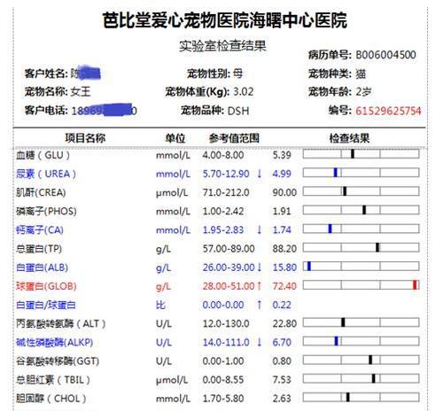 通过猫体检血常规，了解宠物身体状况的重要性（以猫为例）