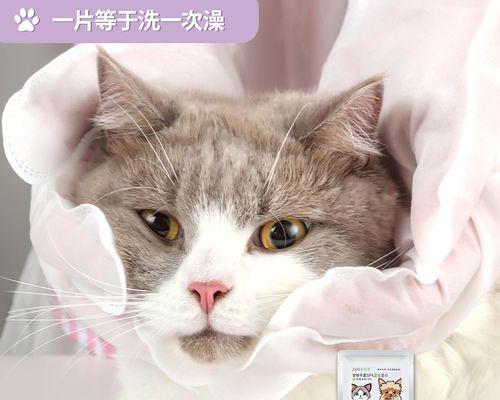 宠物猫呕吐现象详解（从原因到治疗）