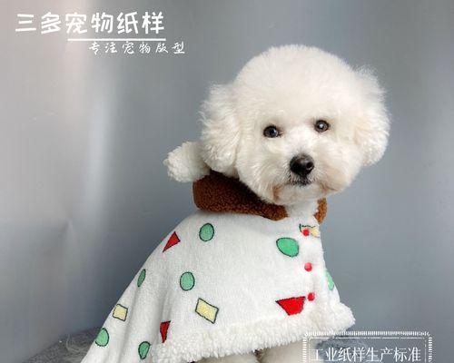 猫咪不能用塑料(为什么塑料对猫咪不友好)
