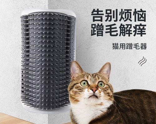 揭秘猫咪为什么喜欢蹭手机（以宠物为主）